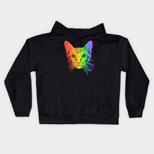 Rainbow Tabby Kids Hoodie